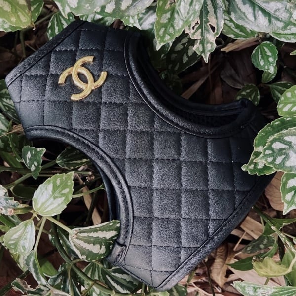 Chewnel Harness and Leash Set