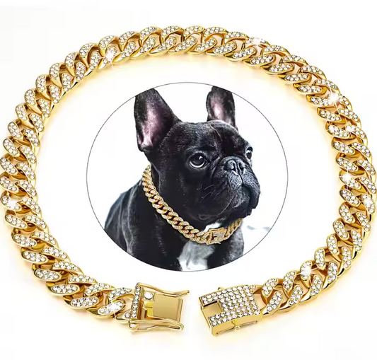 Diamond Collar Metal Chain Necklace With Secure Buckle