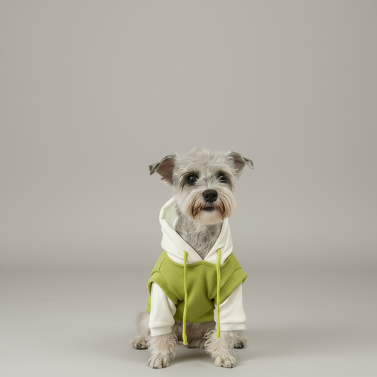 Green and White Knit Pullover Hoodie