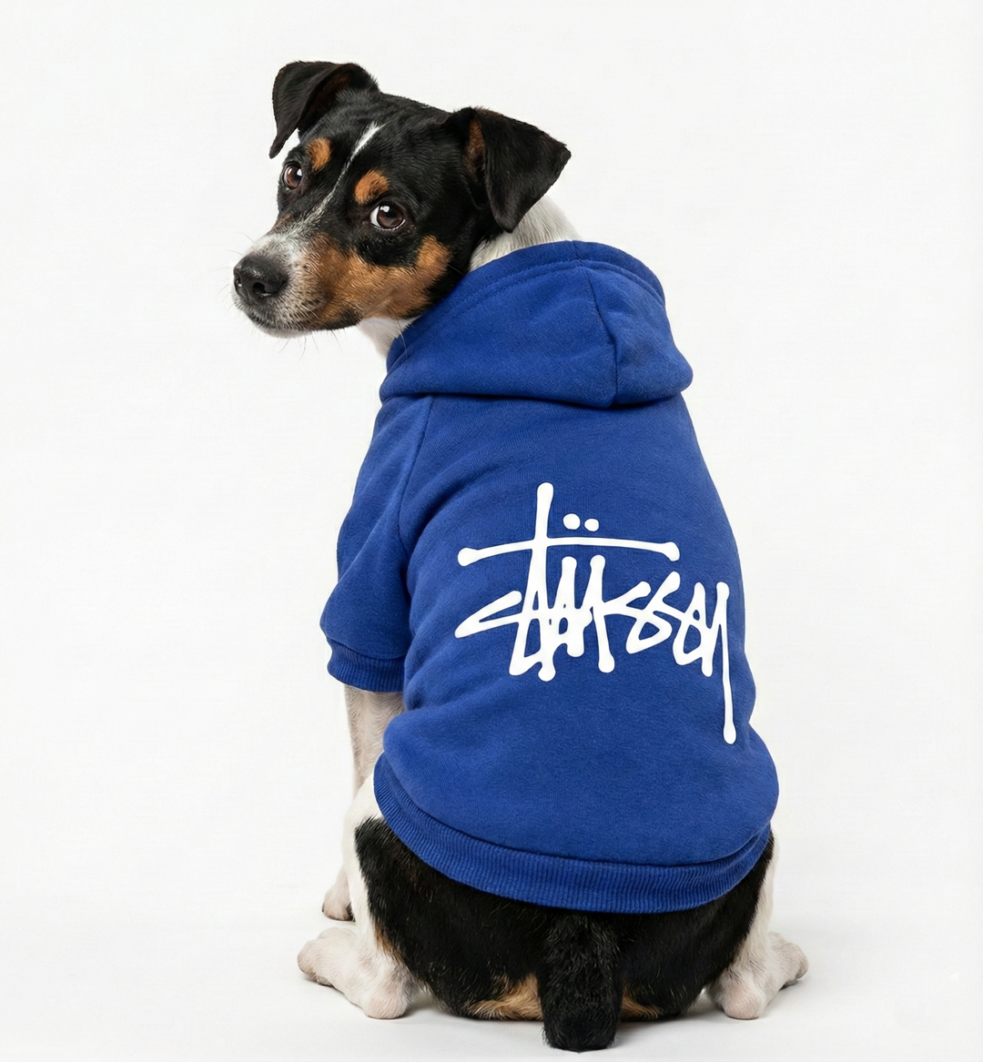 Iconic Streetwear-Inspired Dog Hoodie similar to Stüssy